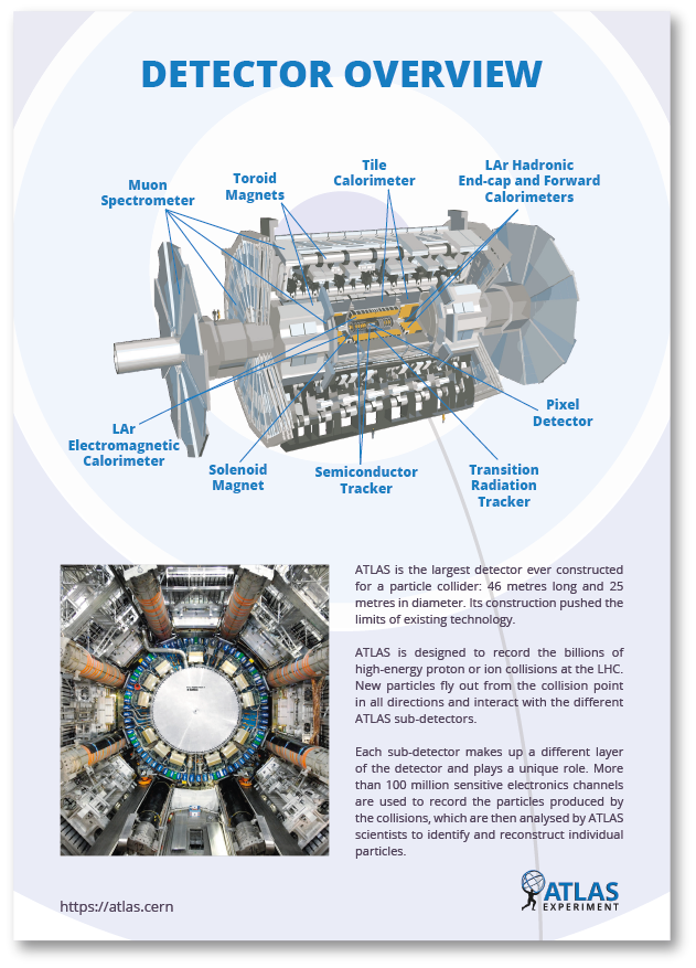 Detector Overview