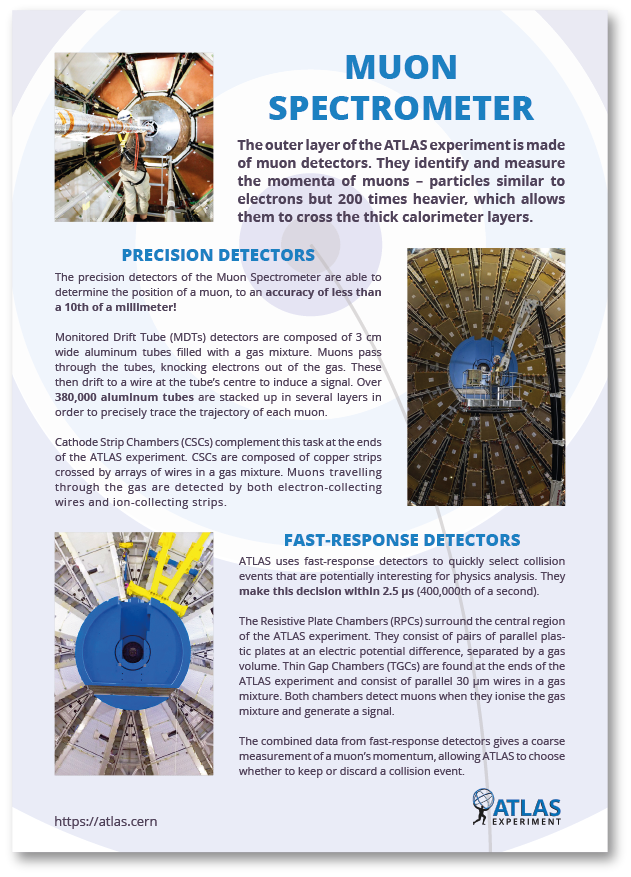 Muon Spectrometer