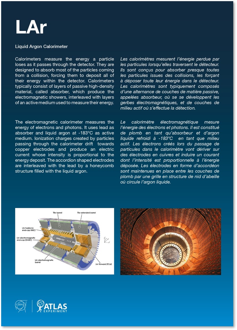 LAr - Liquid Argon Calorimeter