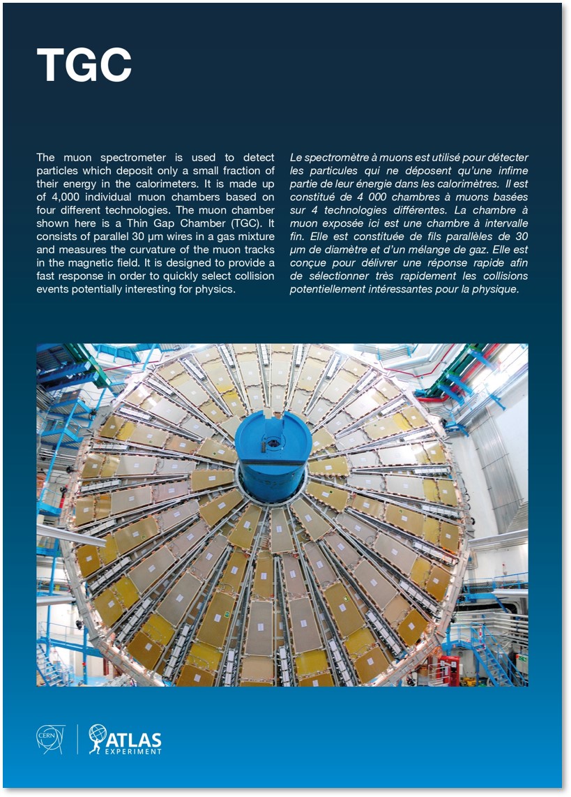 TGC - Thin Gap Chamber