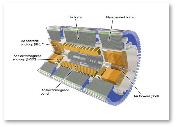 Computer Generated image of the ATLAS calorimeter